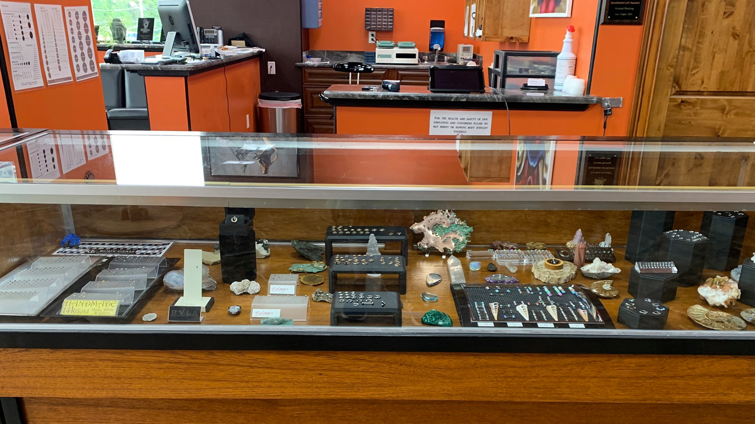 Spider-Bite Body Piercing | Manchester, NH