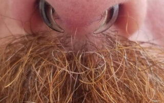 Photo of body piercing - Spider Bite Body Piercing Manchester NH