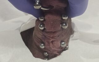 Photo of adult body piercing age 18+ only - Spider Bite Body Piercing Manchester NH